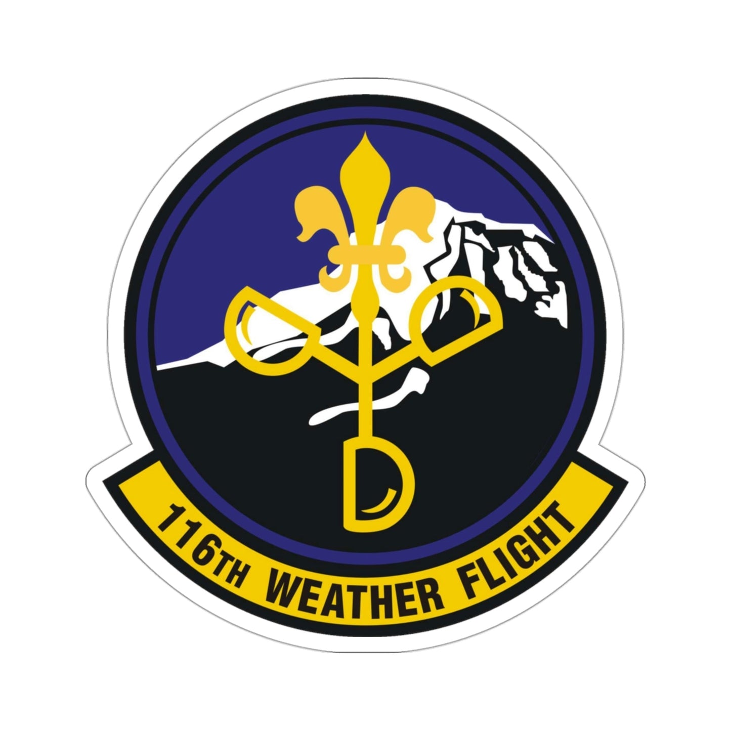 116th Weather Flight (U.S. Air Force) STICKER Vinyl Die-Cut Decal-3 Inch-The Sticker Space