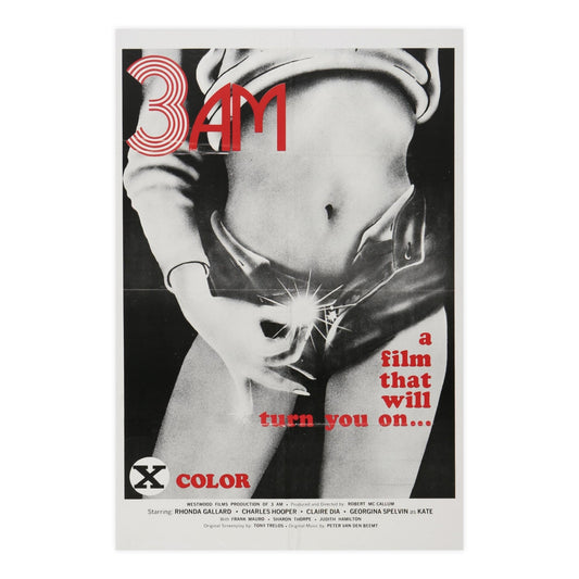 3AM 1975 - Paper Movie Poster-24″ x 36″ (Vertical)-The Sticker Space