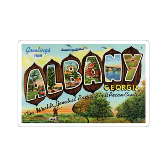 Albany Georgia (Greeting Cards) STICKER Vinyl Die-Cut Decal-6 Inch-The Sticker Space