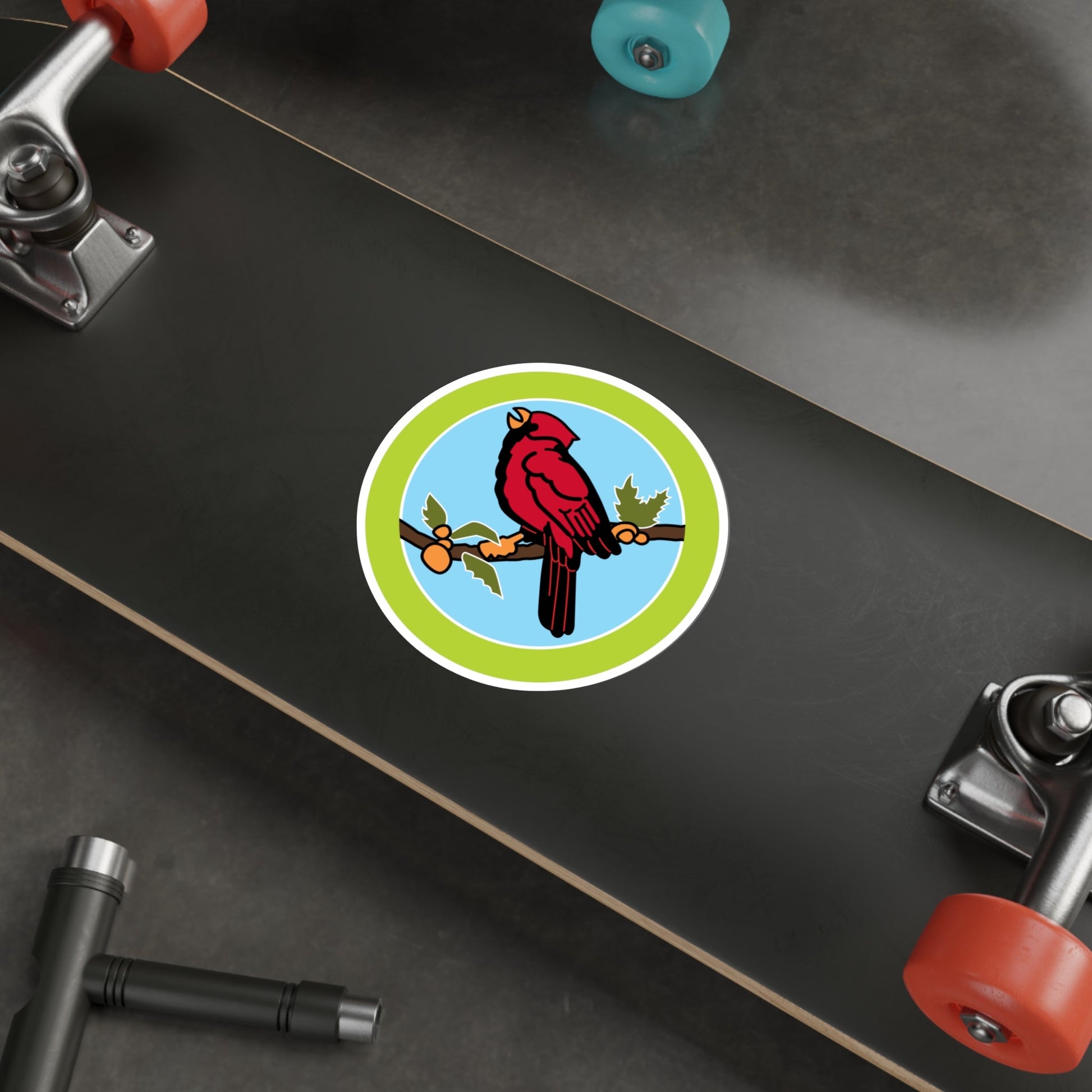 Bird Study (Boy Scouts Merit Badge) STICKER Vinyl Die-Cut Decal-The Sticker Space