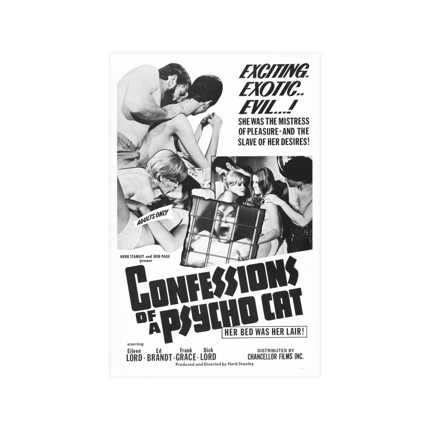 CONFESSIONS OF A PSYCHO CAT 1968 - Paper Movie Poster-11″ x 17″ (Vertical)-The Sticker Space