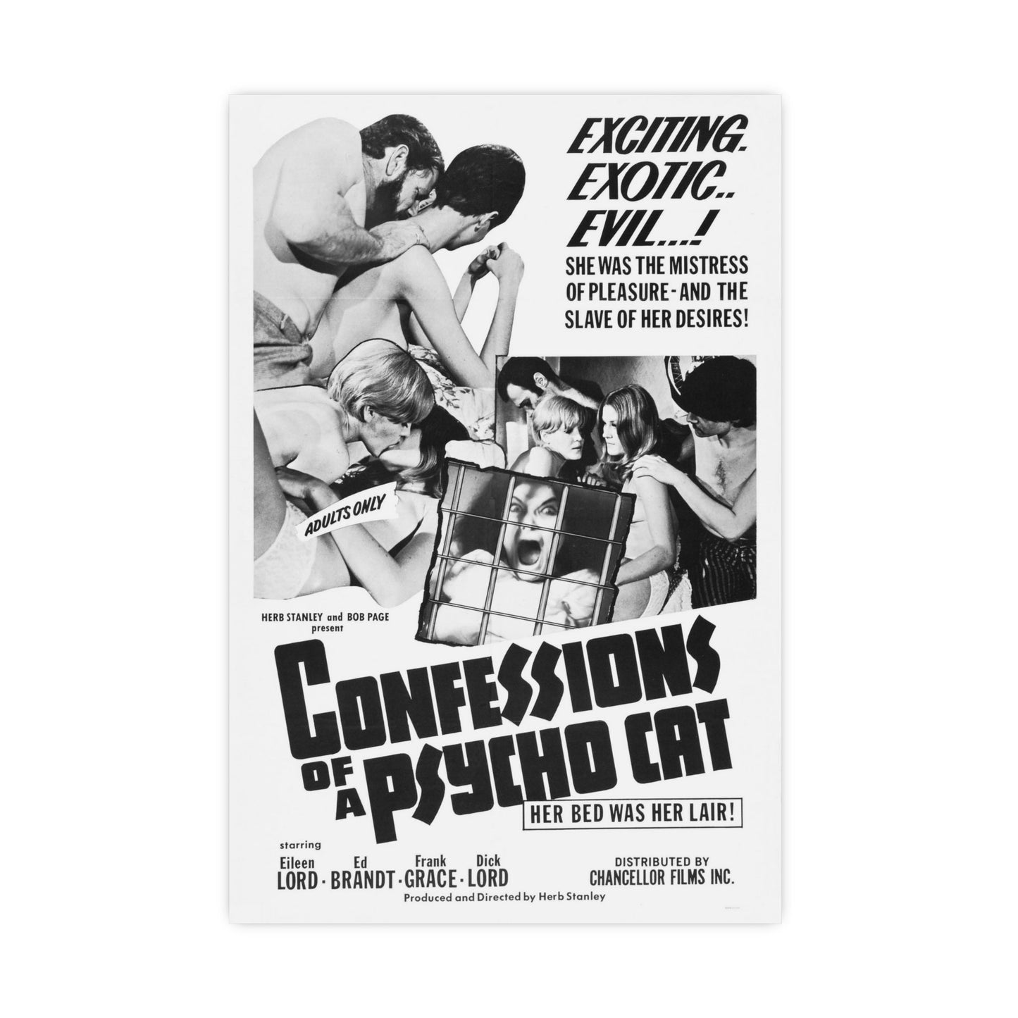 CONFESSIONS OF A PSYCHO CAT 1968 - Paper Movie Poster-16″ x 24″ (Vertical)-The Sticker Space