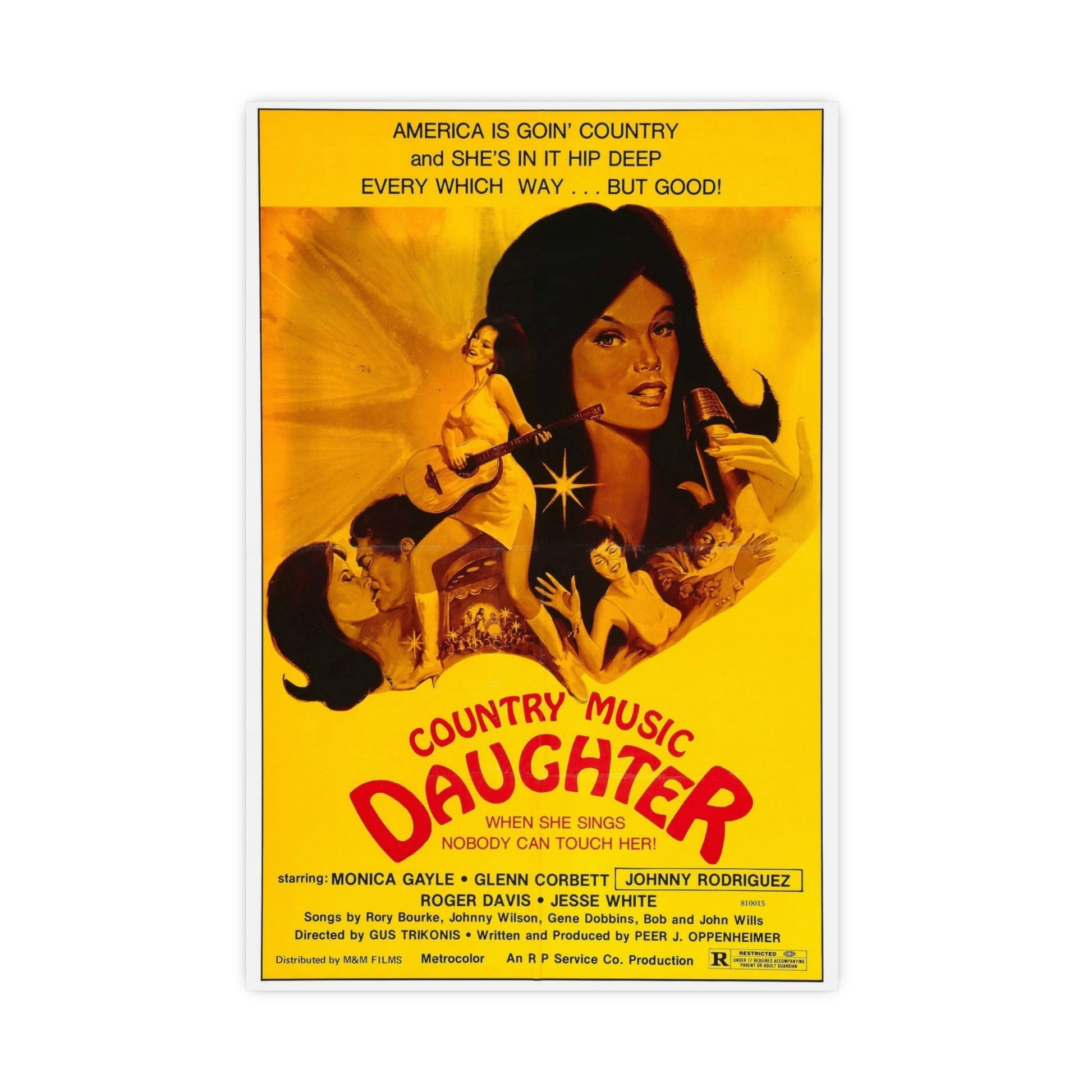 COUNTRY MUSIC DAUGHTER (NASHVILLE GIRL) 1976 - Paper Movie Poster-16″ x 24″ (Vertical)-The Sticker Space