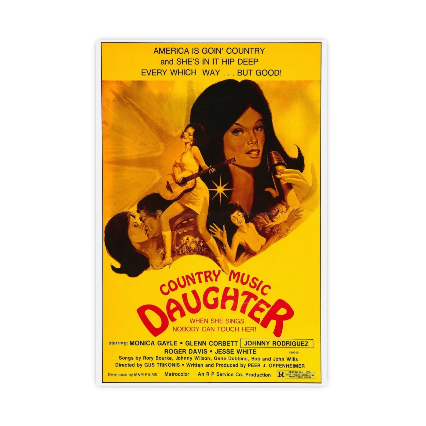 COUNTRY MUSIC DAUGHTER (NASHVILLE GIRL) 1976 - Paper Movie Poster-20″ x 30″ (Vertical)-The Sticker Space
