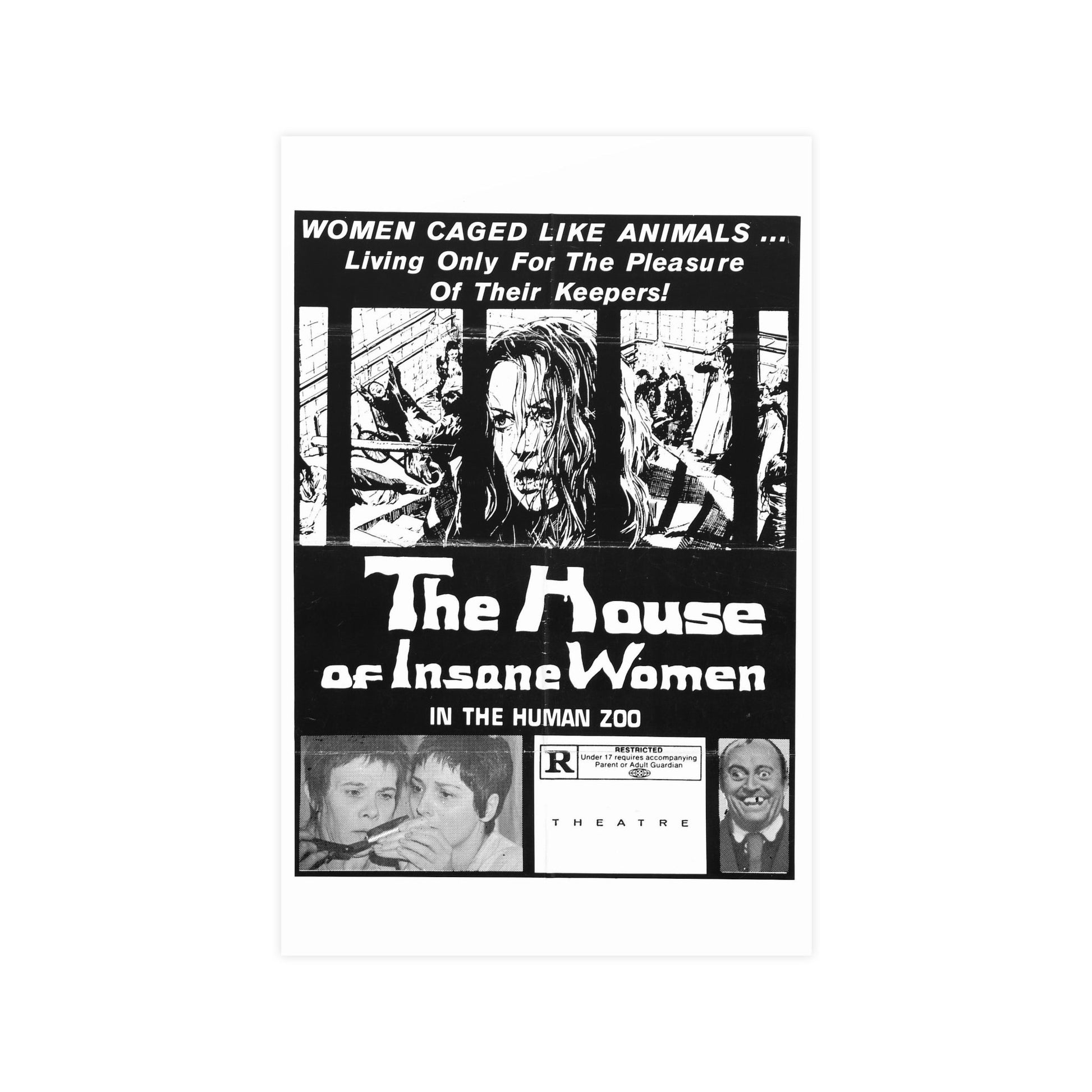 HOUSE OF INSANE WOMEN (2) 1971 - Paper Movie Poster-11″ x 17″ (Vertical)-The Sticker Space