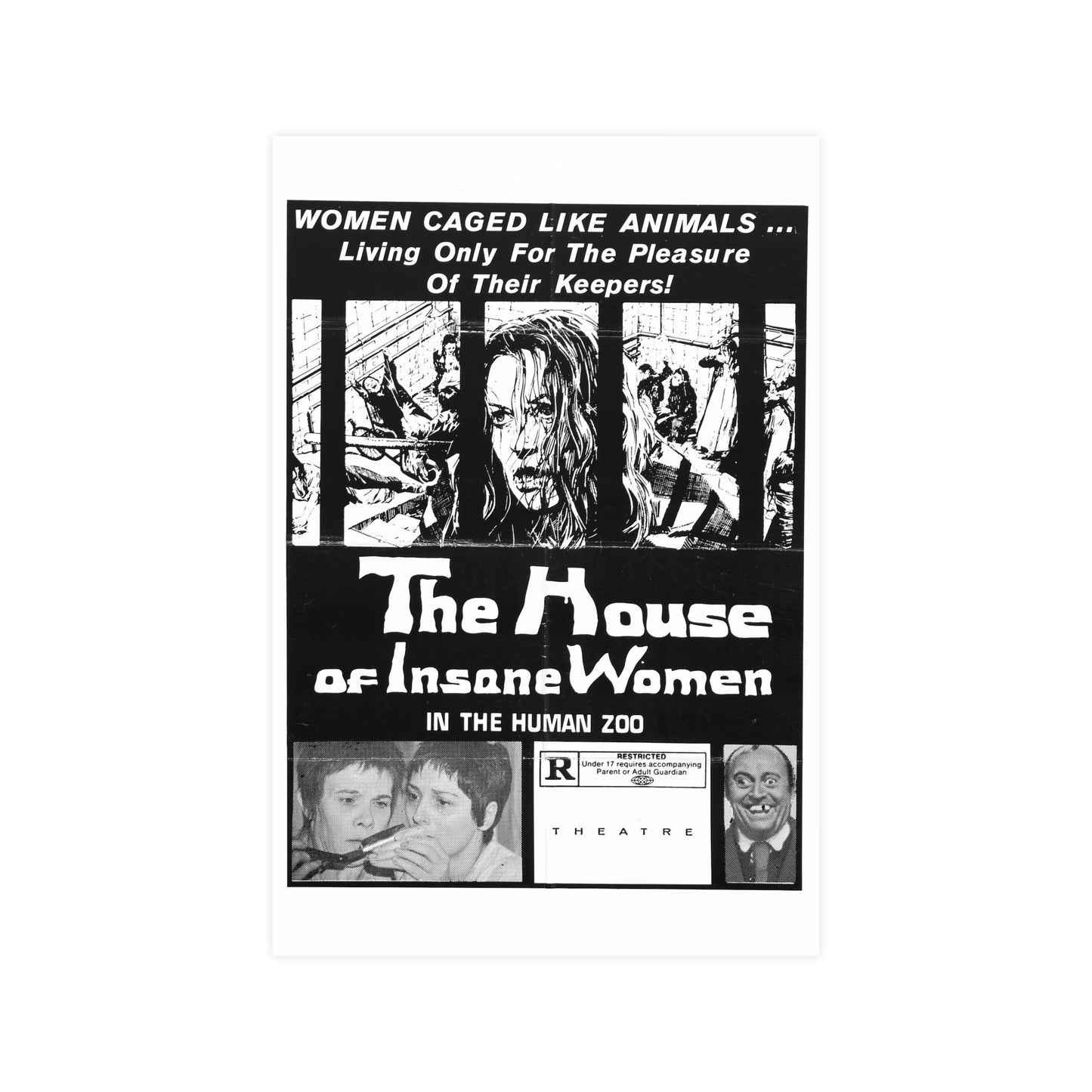 HOUSE OF INSANE WOMEN (2) 1971 - Paper Movie Poster-12″ x 18″ (Vertical)-The Sticker Space