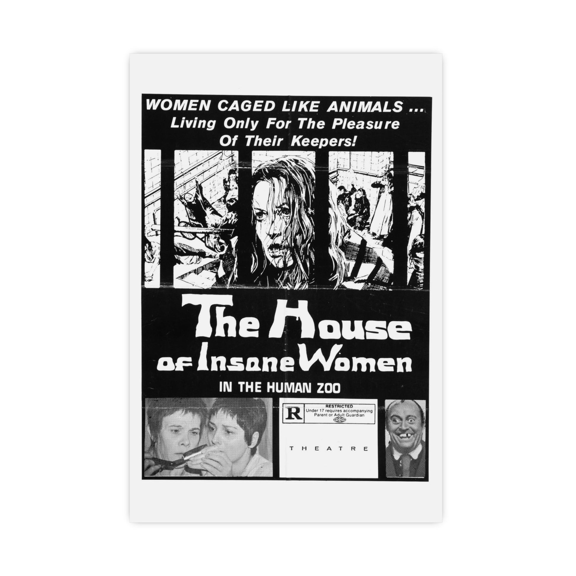 HOUSE OF INSANE WOMEN (2) 1971 - Paper Movie Poster-16″ x 24″ (Vertical)-The Sticker Space