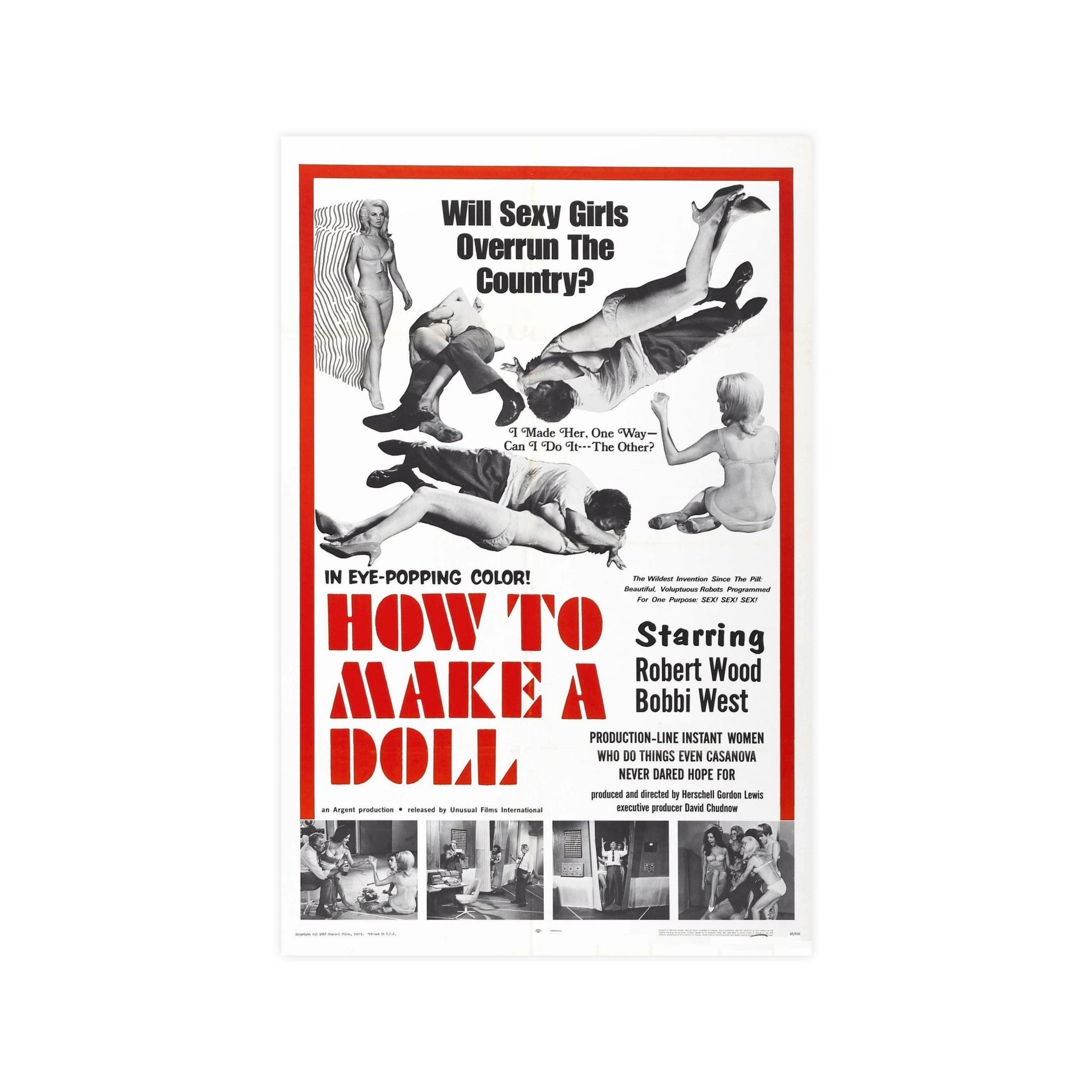 HOW TO MAKE A DOLL 1968 - Paper Movie Poster-11″ x 17″ (Vertical)-The Sticker Space