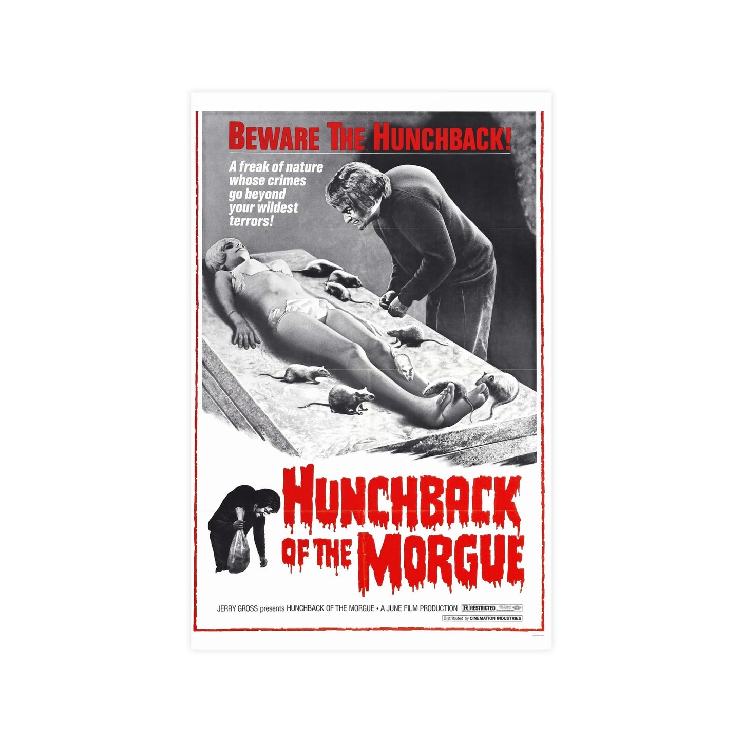 HUNCHBACK OF THE MORGUE 1973 - Paper Movie Poster-11″ x 17″ (Vertical)-The Sticker Space