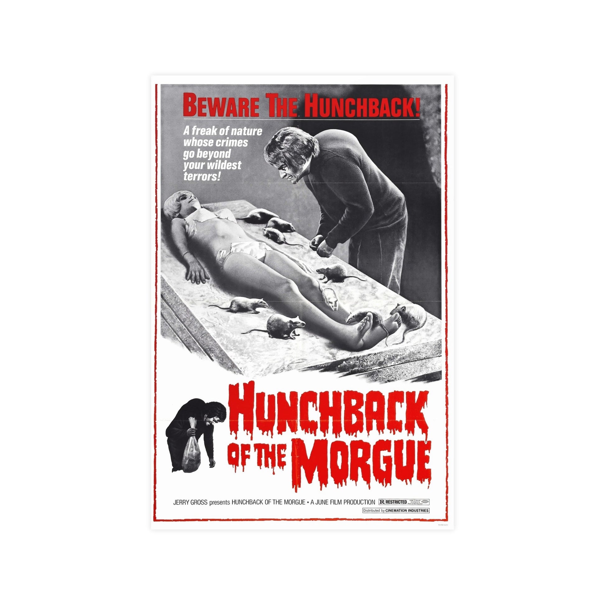 HUNCHBACK OF THE MORGUE 1973 - Paper Movie Poster-12″ x 18″ (Vertical)-The Sticker Space