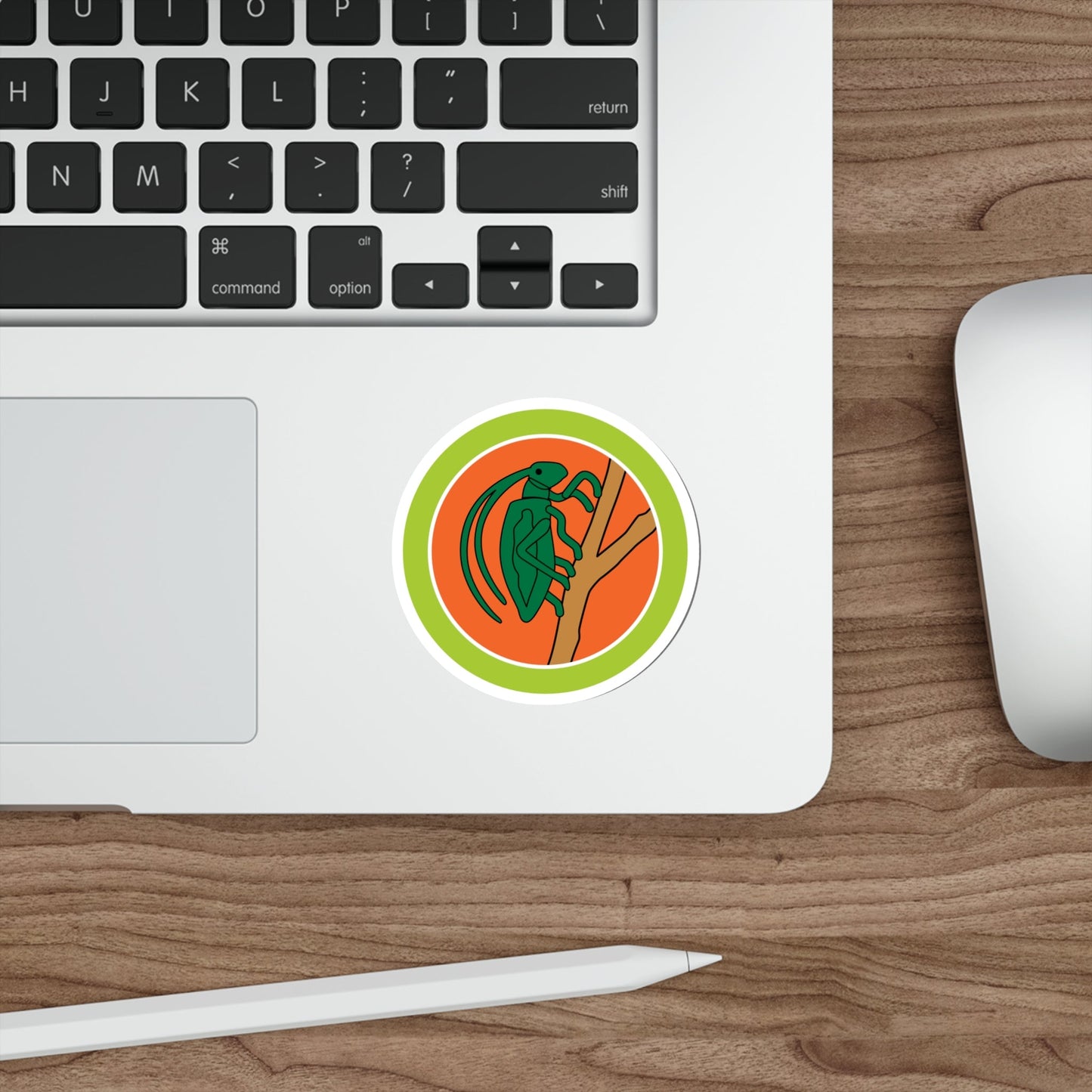 Insect Study (Boy Scouts Merit Badge) STICKER Vinyl Die-Cut Decal-The Sticker Space