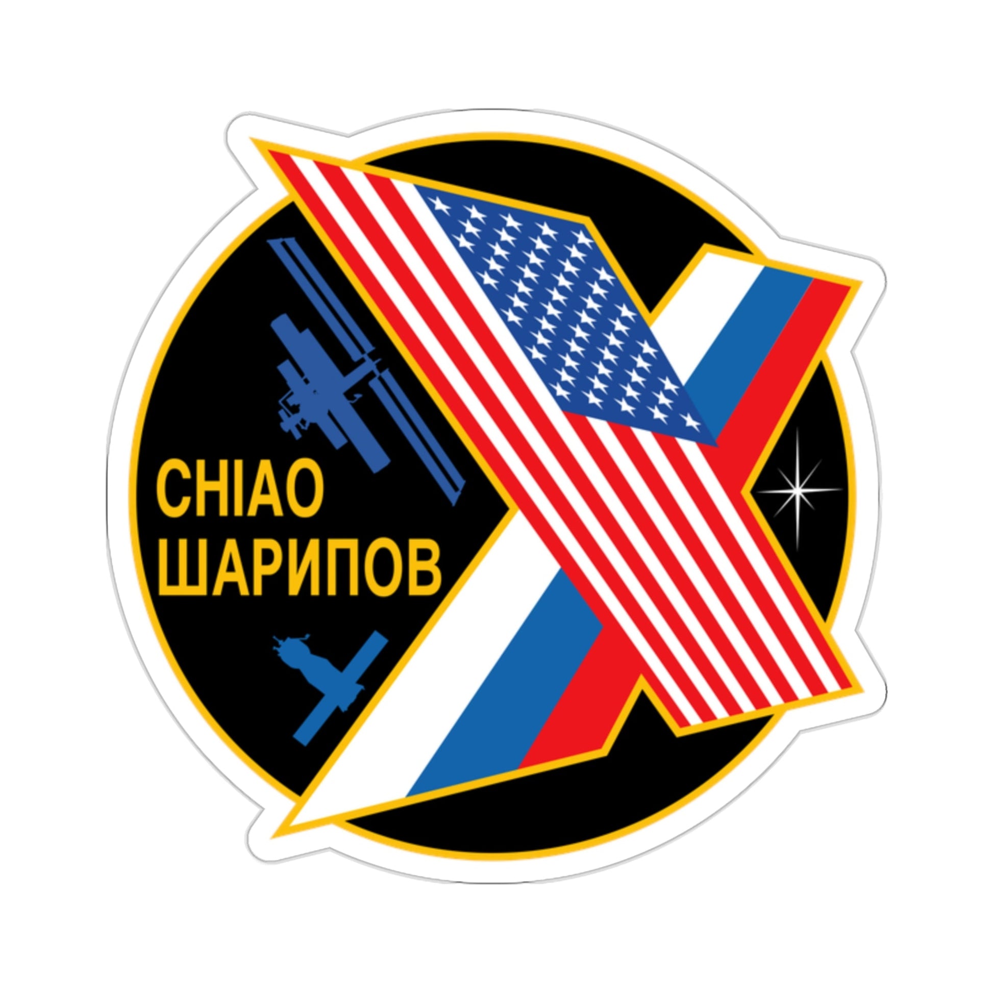 ISS Expedition 10 (NASA) STICKER Vinyl Die-Cut Decal-2 Inch-The Sticker Space