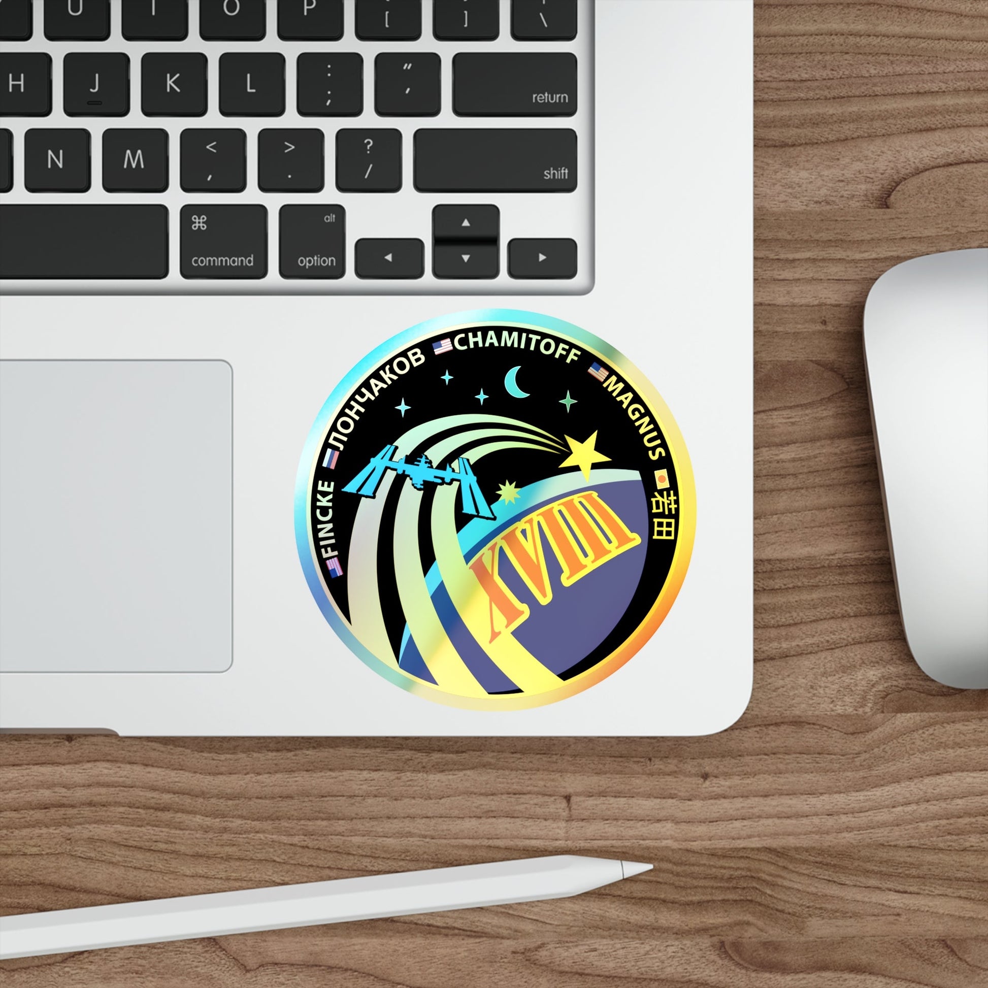 ISS Expedition 18 (NASA) Holographic STICKER Die-Cut Vinyl Decal-The Sticker Space