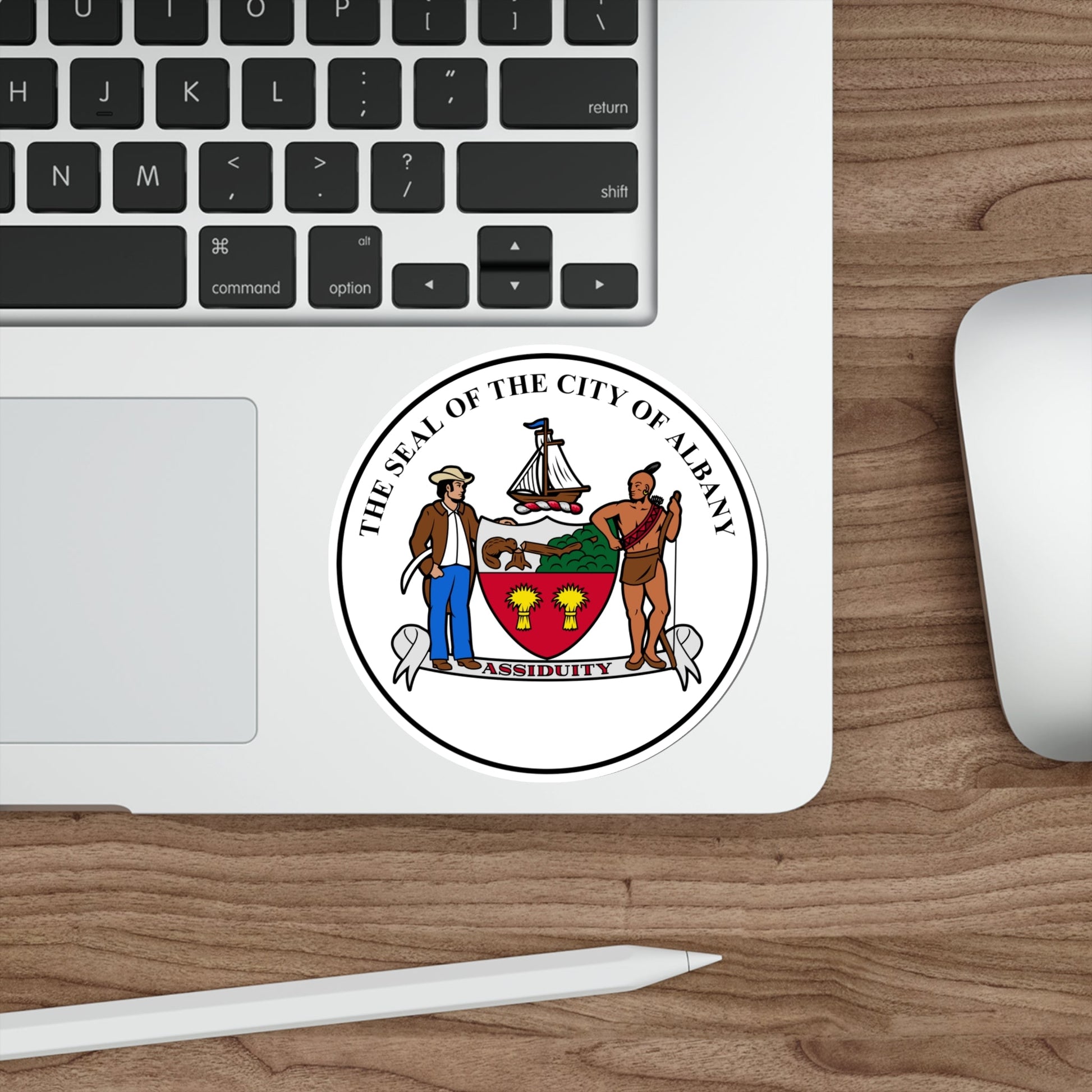 Seal of Albany, New York USA STICKER Vinyl Die-Cut Decal-The Sticker Space