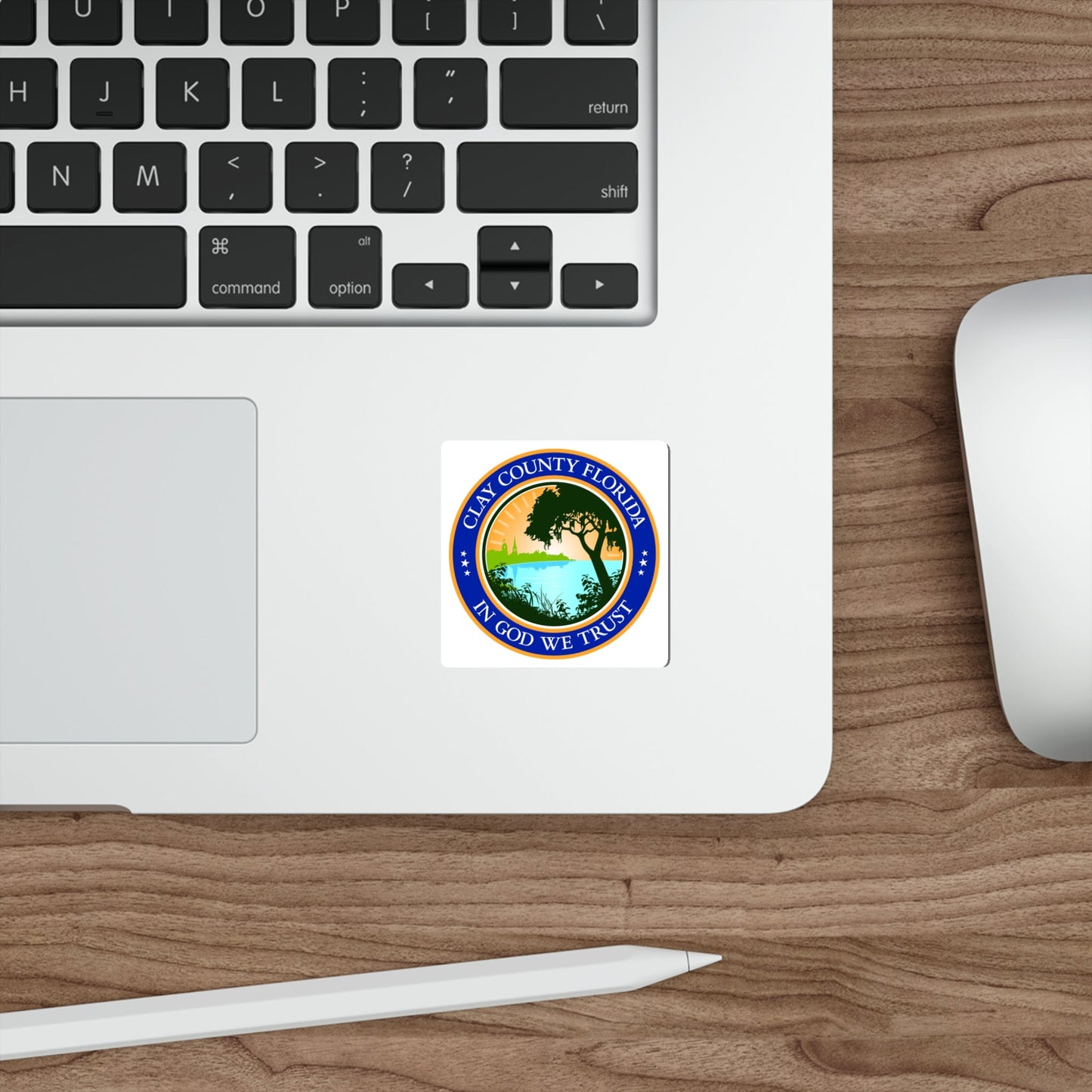 Seal of Clay County Seal Florida USA STICKER Vinyl Die-Cut Decal-The Sticker Space