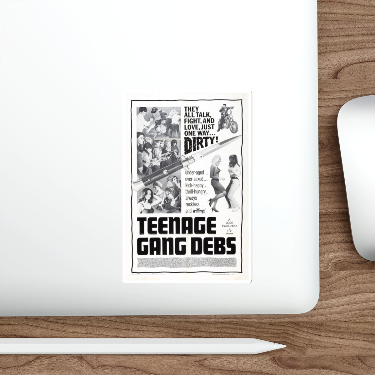 TEENAGE GANG DEBS 1966 Movie Poster STICKER Vinyl Die-Cut Decal-The Sticker Space