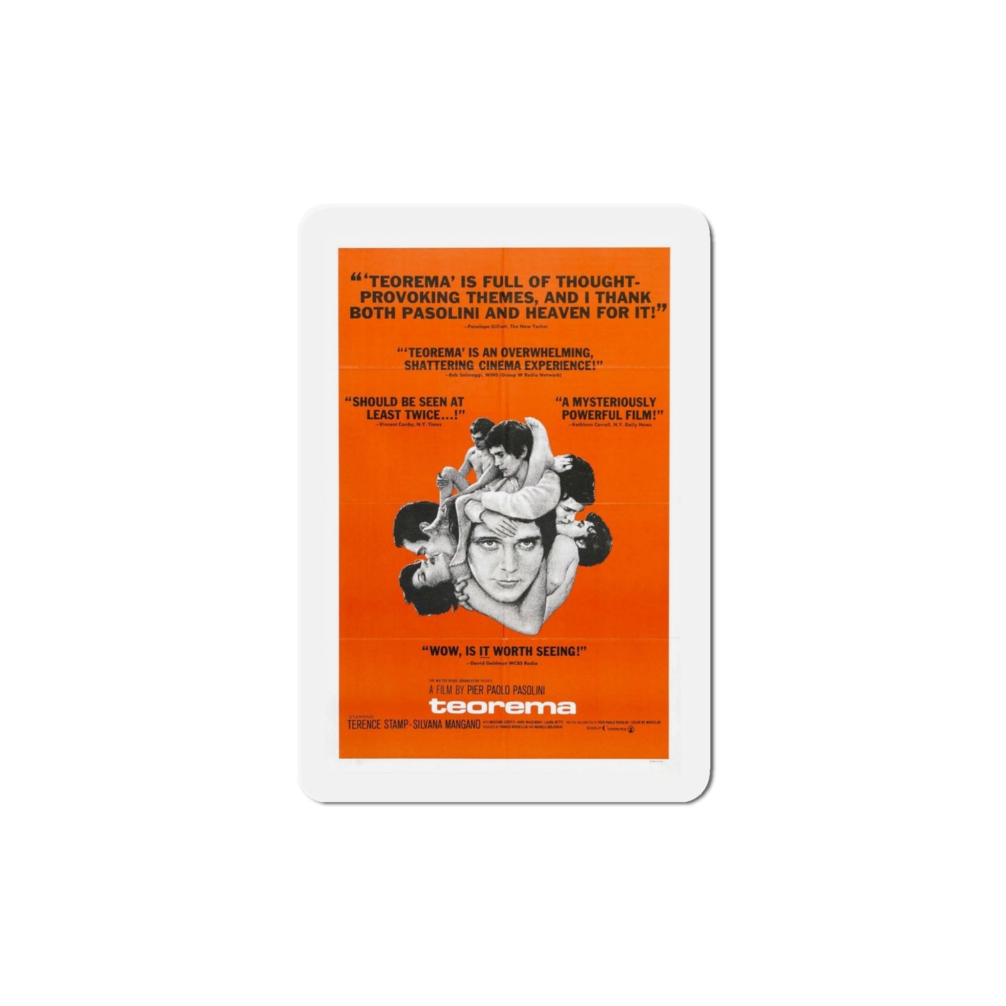 Teorema 1969 Movie Poster Die-Cut Magnet-5 Inch-The Sticker Space