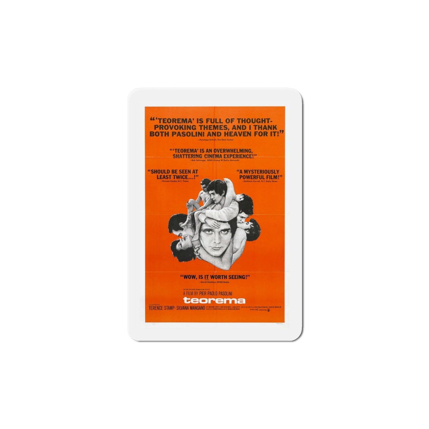 Teorema 1969 Movie Poster Die-Cut Magnet-6 Inch-The Sticker Space