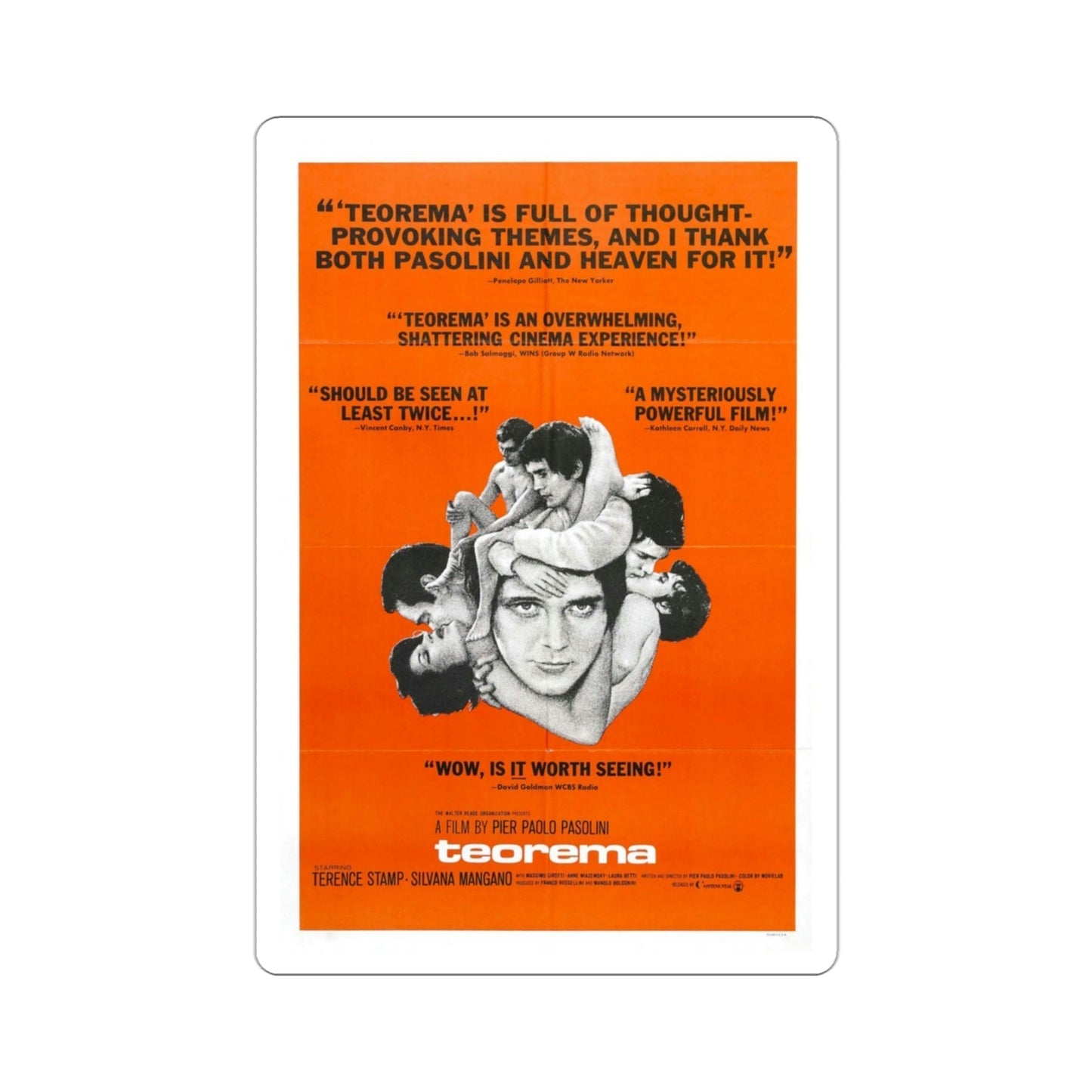 Teorema 1969 Movie Poster STICKER Vinyl Die-Cut Decal-3 Inch-The Sticker Space