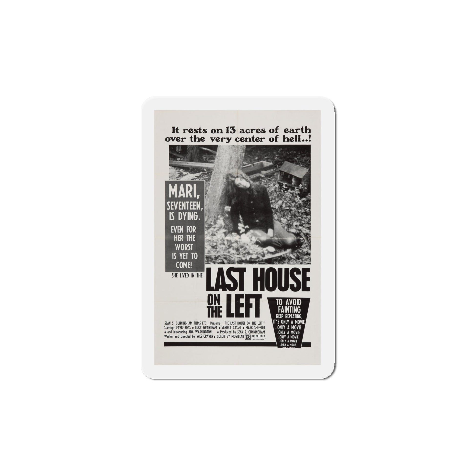 The Last House on the Left 1972 Movie Poster Die-Cut Magnet-5 Inch-The Sticker Space