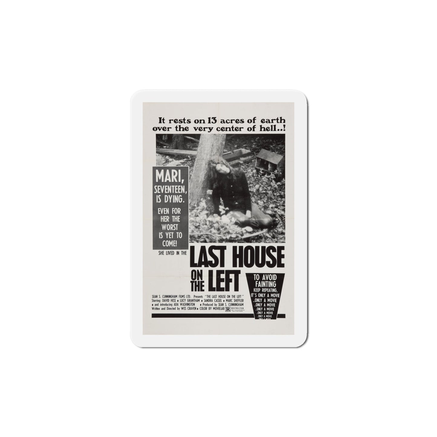 The Last House on the Left 1972 Movie Poster Die-Cut Magnet-6 Inch-The Sticker Space