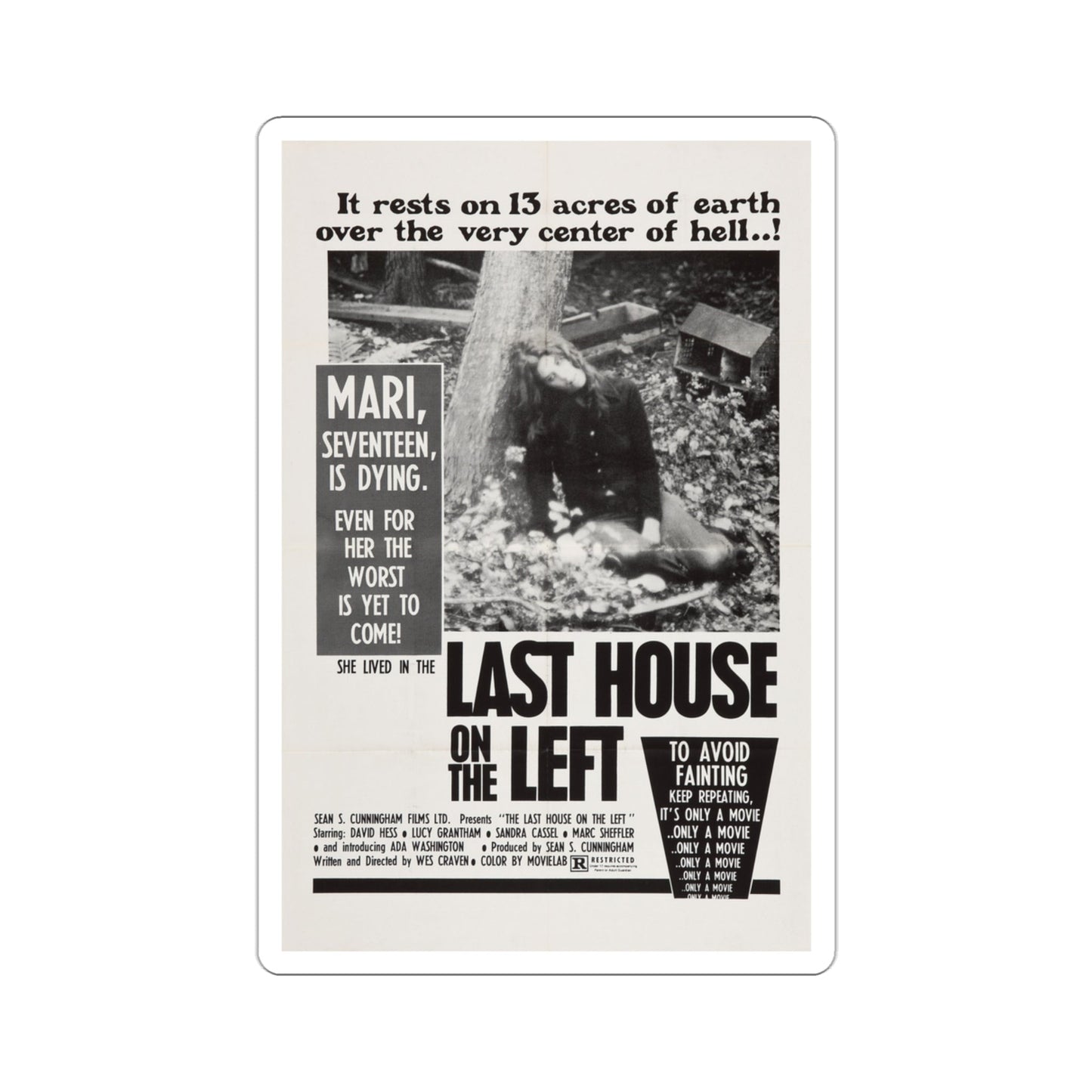 The Last House on the Left 1972 Movie Poster STICKER Vinyl Die-Cut Decal-3 Inch-The Sticker Space