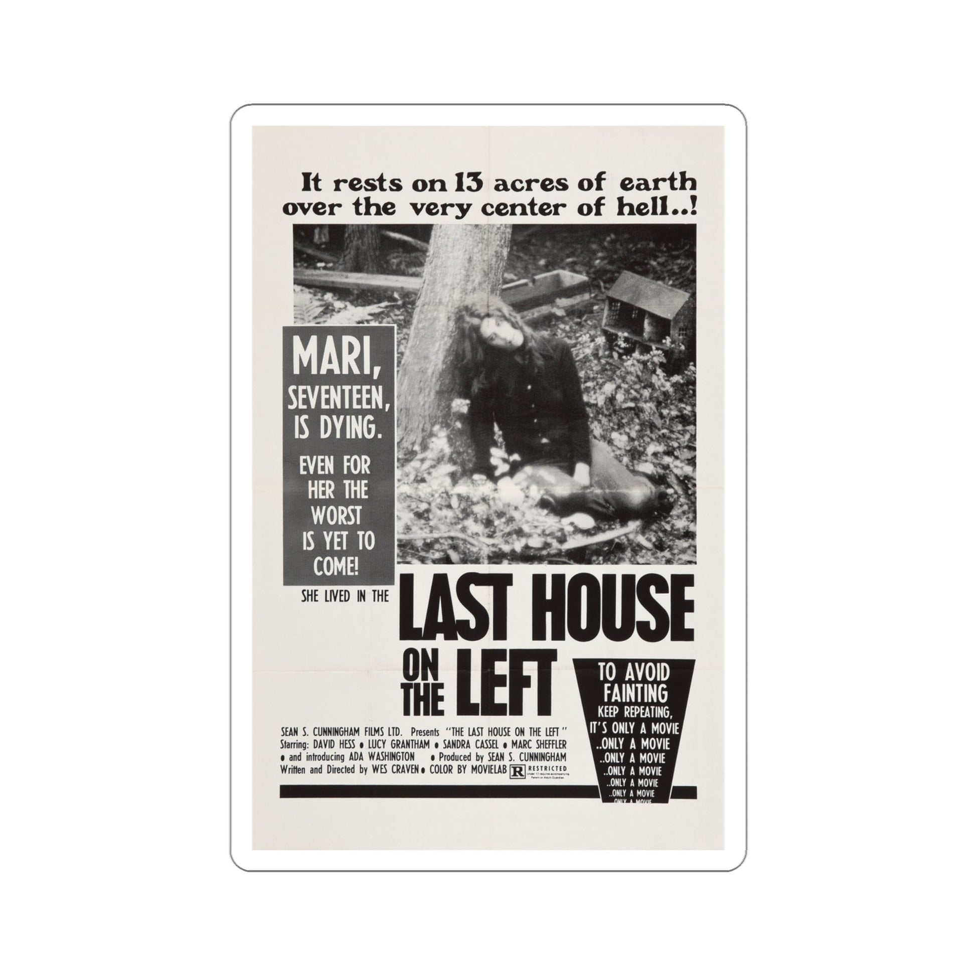 The Last House on the Left 1972 Movie Poster STICKER Vinyl Die-Cut Decal-4 Inch-The Sticker Space