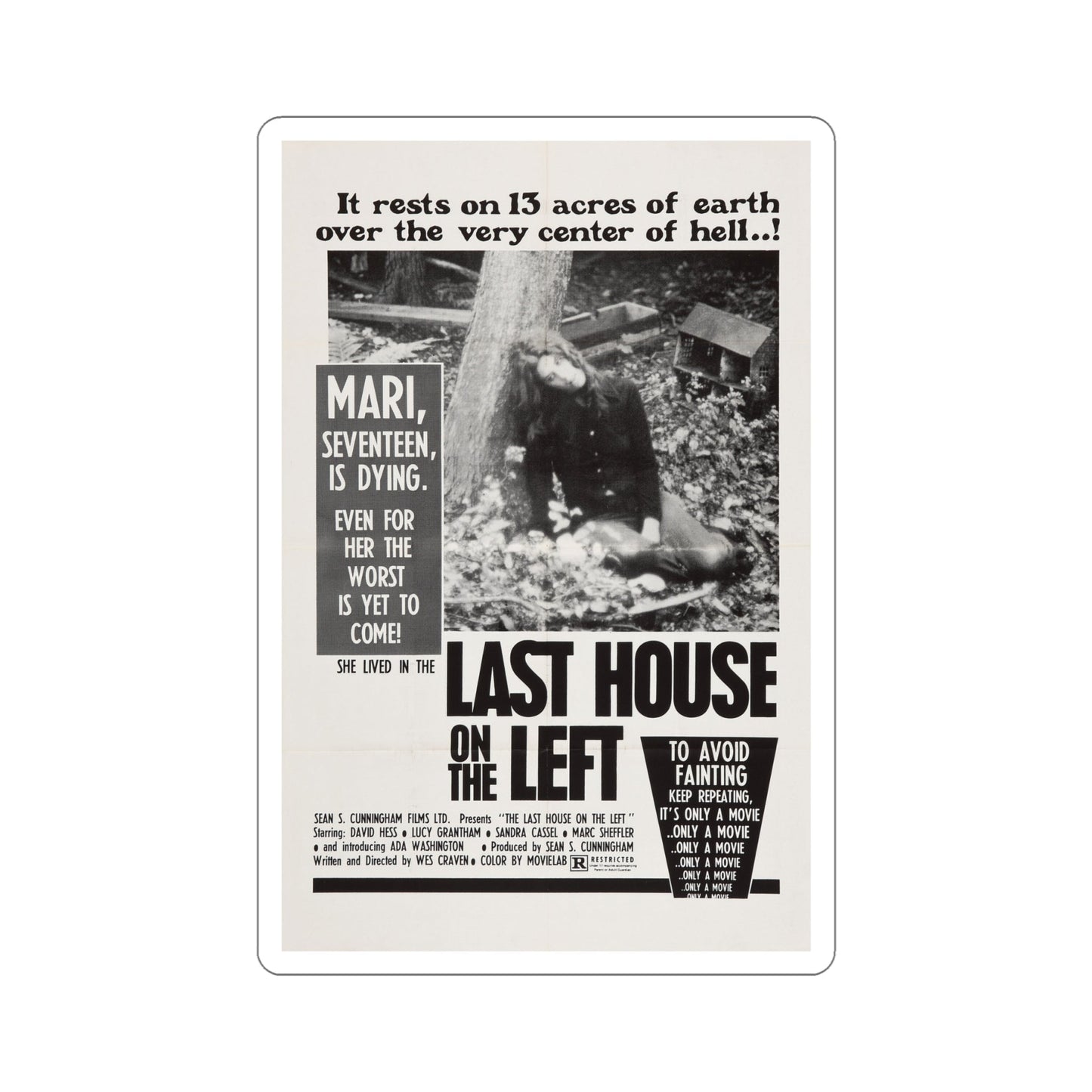 The Last House on the Left 1972 Movie Poster STICKER Vinyl Die-Cut Decal-6 Inch-The Sticker Space