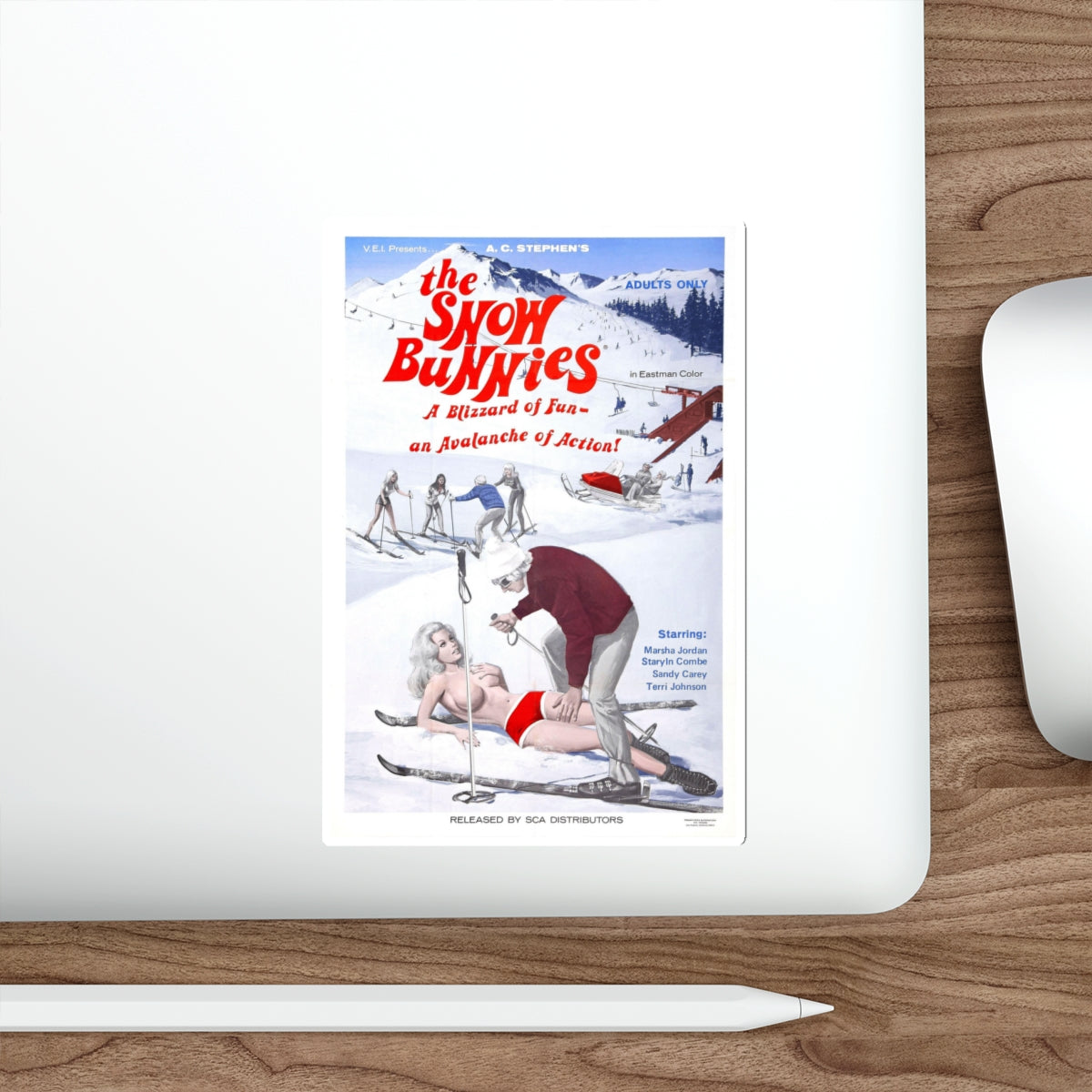 THE SNOW BUNNIES 1972 Movie Poster STICKER Vinyl Die-Cut Decal-The Sticker Space