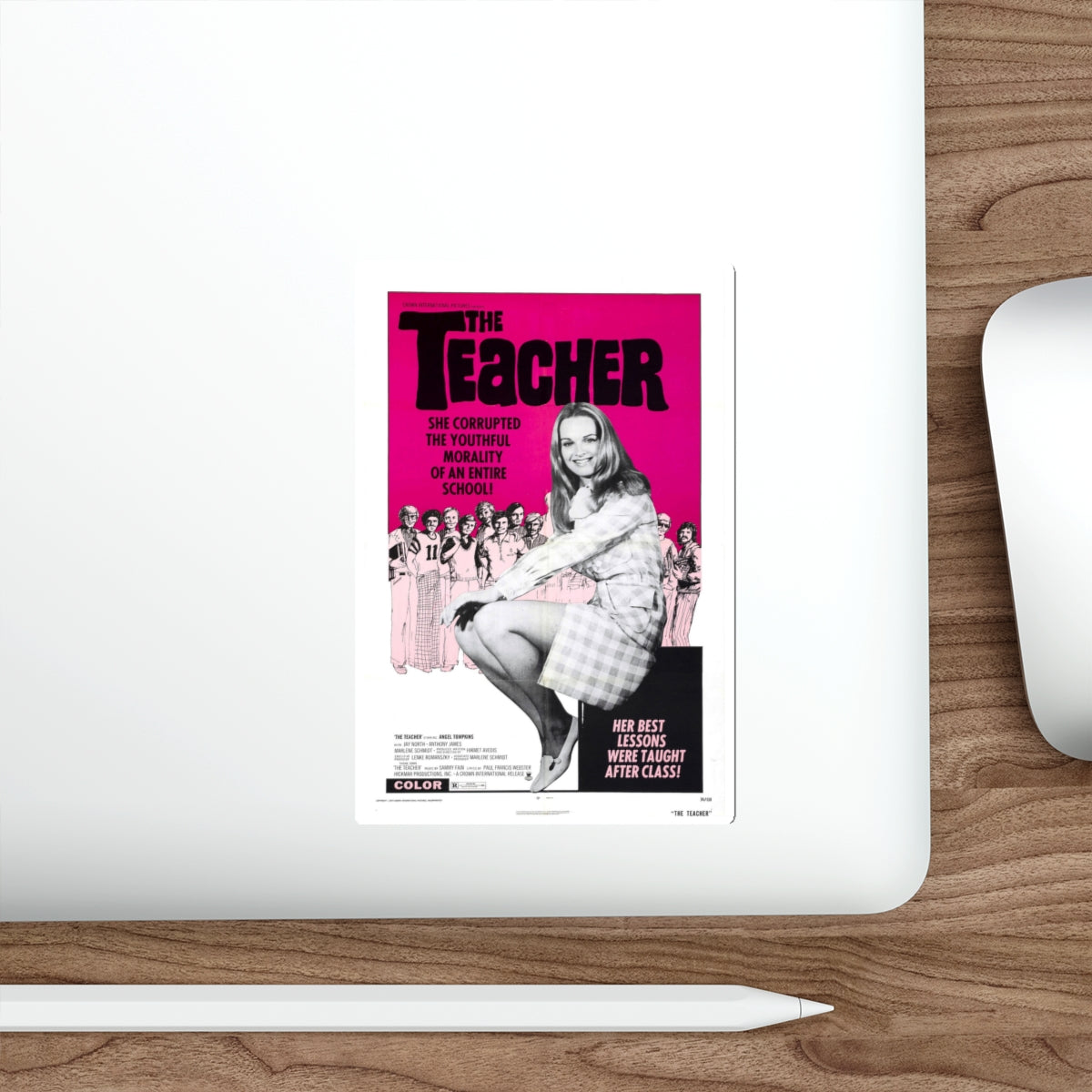 THE TEACHER 1974 Movie Poster STICKER Vinyl Die-Cut Decal-The Sticker Space