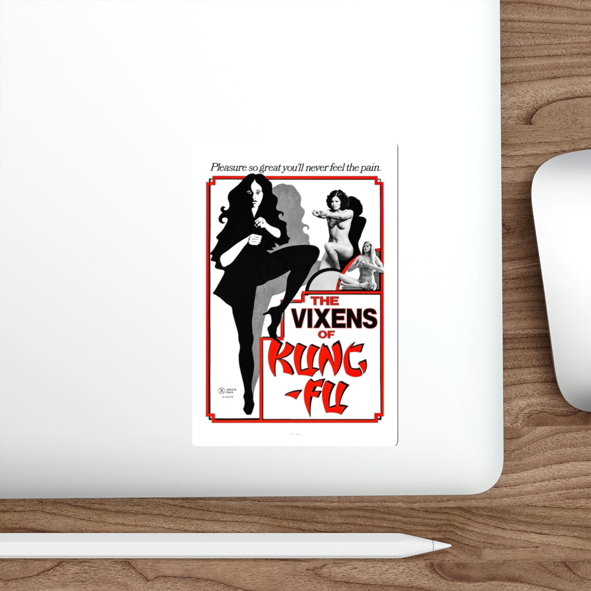 THE VIXENS OF KUNG-FU 1975 Movie Poster STICKER Vinyl Die-Cut Decal-The Sticker Space