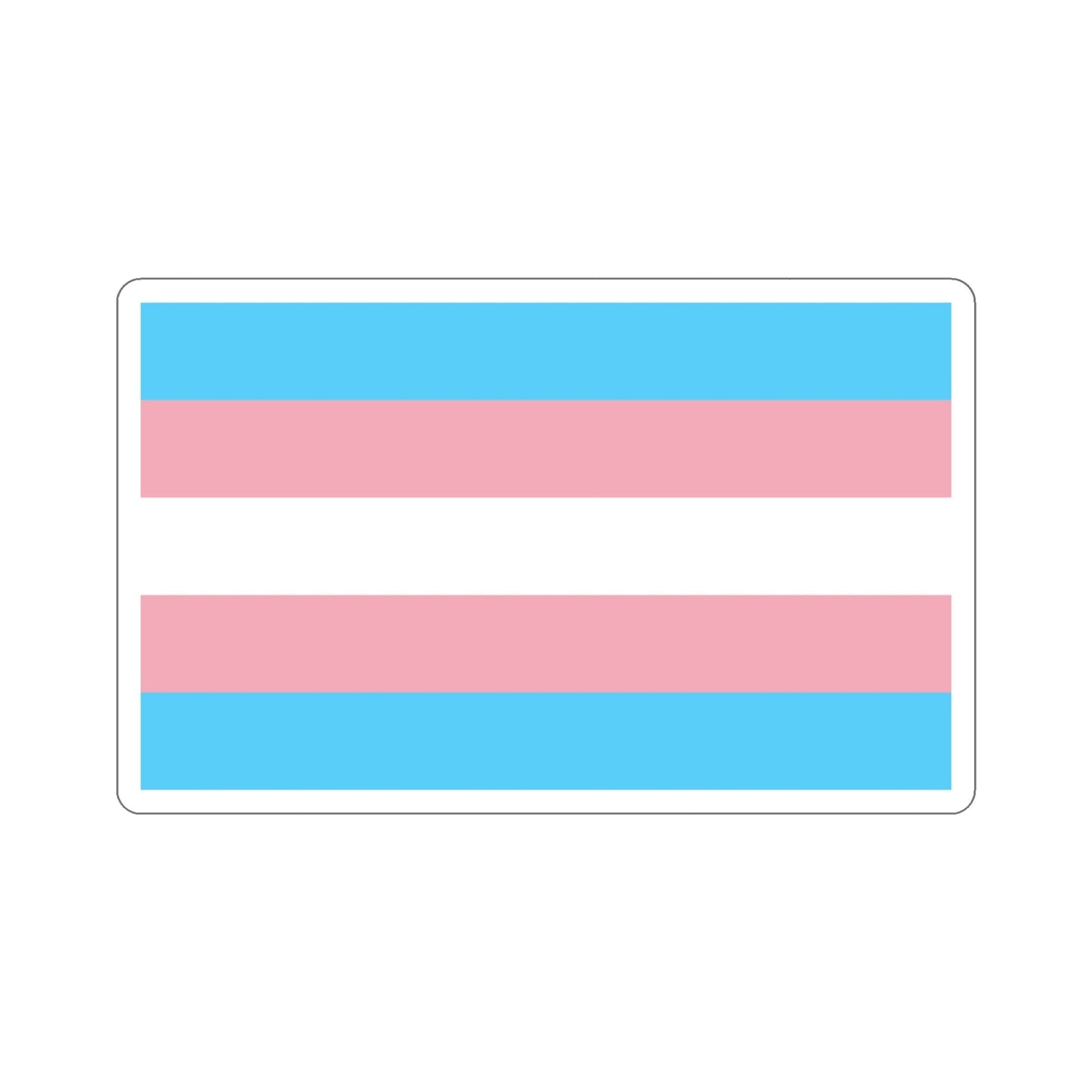 Transgender Pride Flag STICKER Vinyl Die-Cut Decal-5 Inch-The Sticker Space