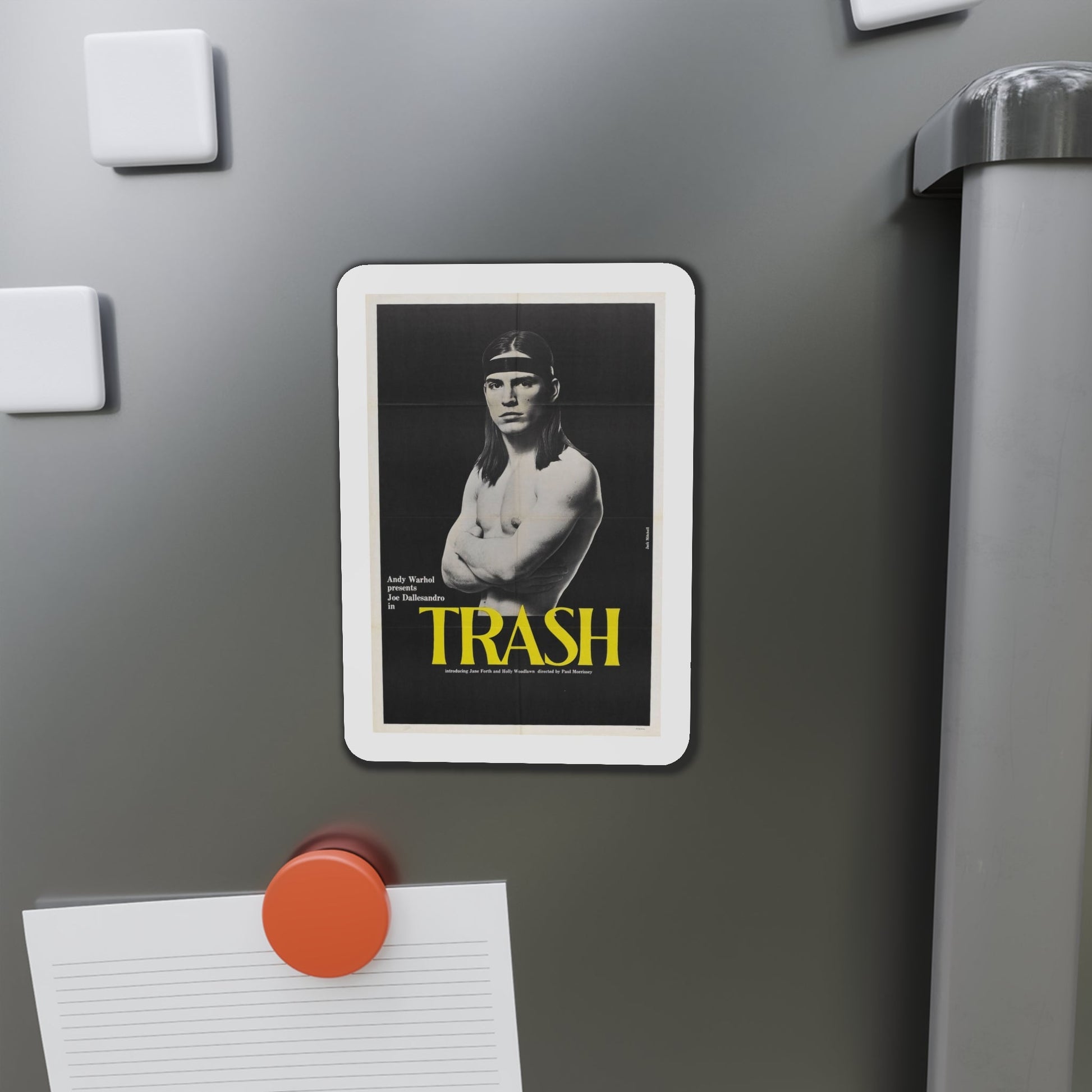 Trash 1970 Movie Poster Die-Cut Magnet-The Sticker Space