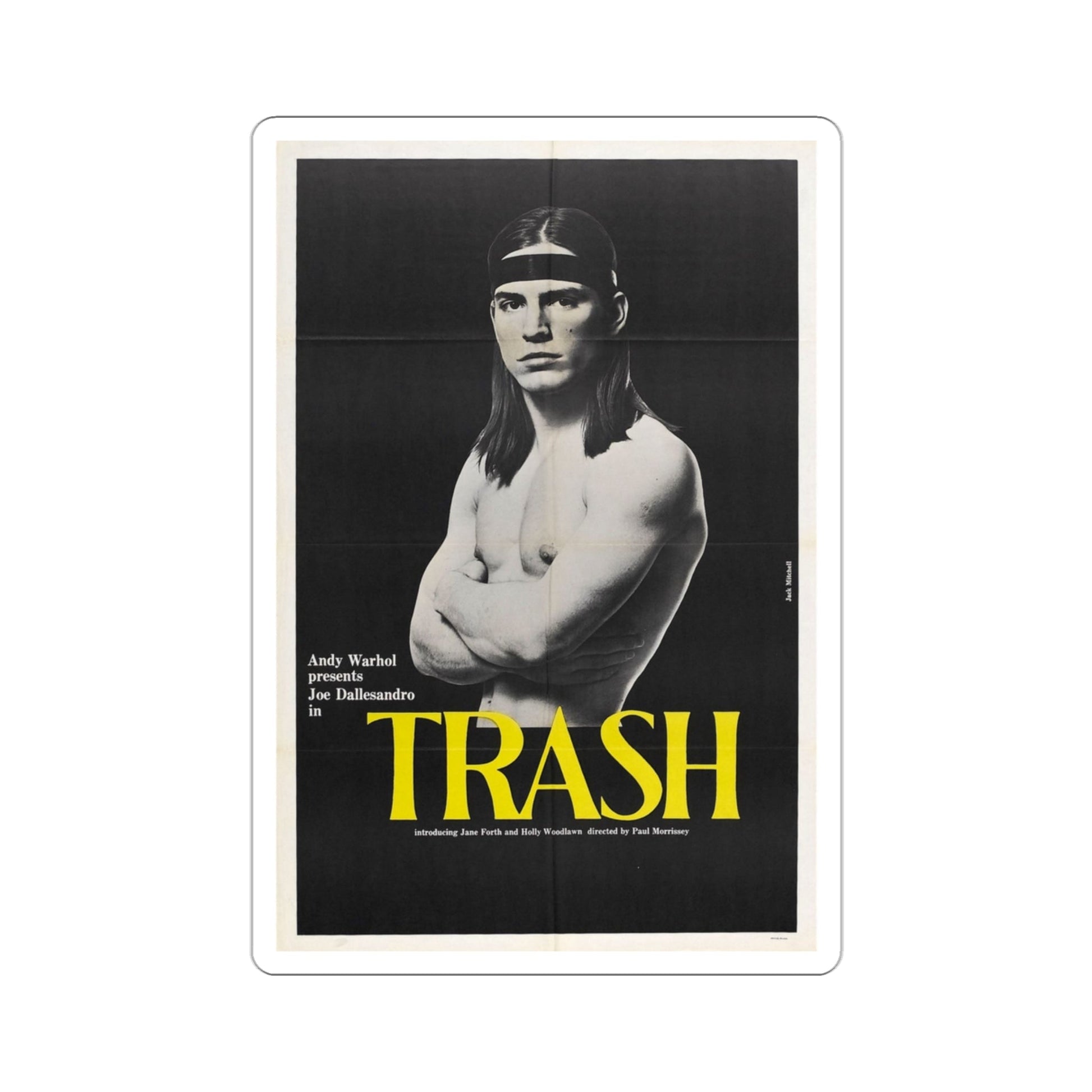 Trash 1970 Movie Poster STICKER Vinyl Die-Cut Decal-3 Inch-The Sticker Space