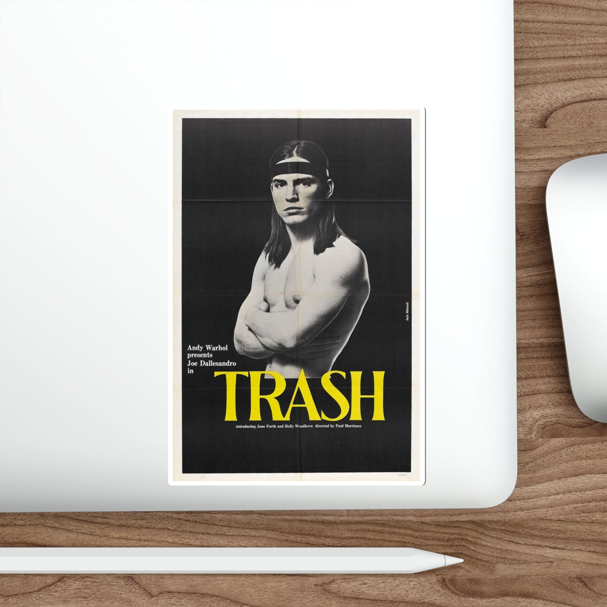 Trash 1970 Movie Poster STICKER Vinyl Die-Cut Decal-The Sticker Space