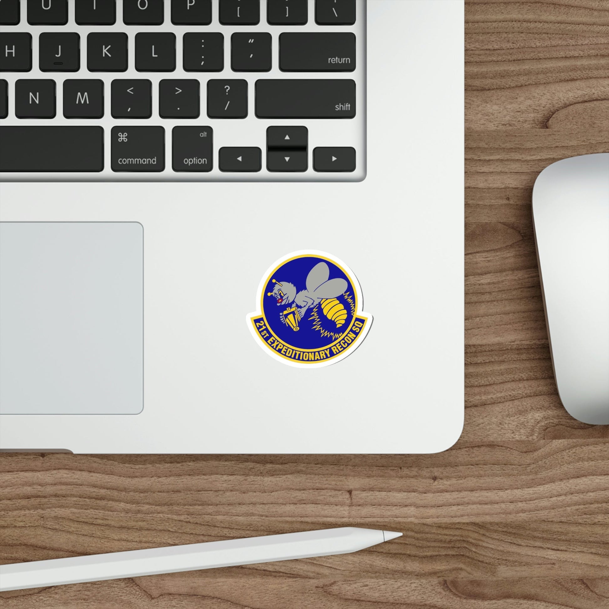 21st Expeditionary Reconnaissance Squadron (U.S. Air Force) STICKER Vinyl Die-Cut Decal-The Sticker Space
