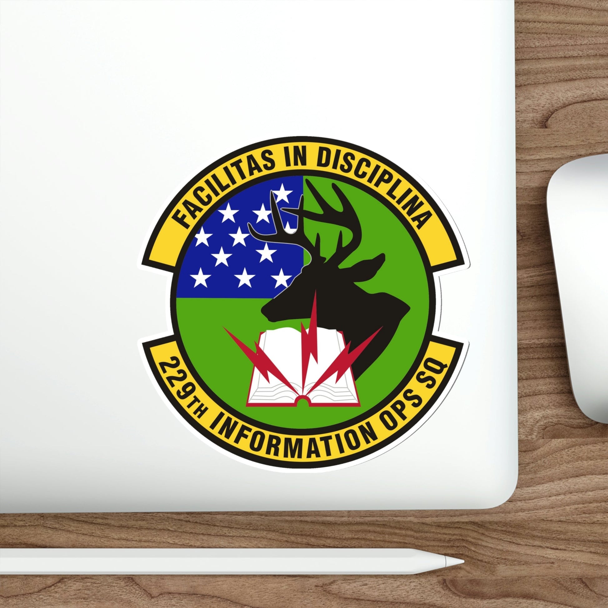 229th Information Operations Squadron (U.S. Air Force) STICKER Vinyl Die-Cut Decal-The Sticker Space